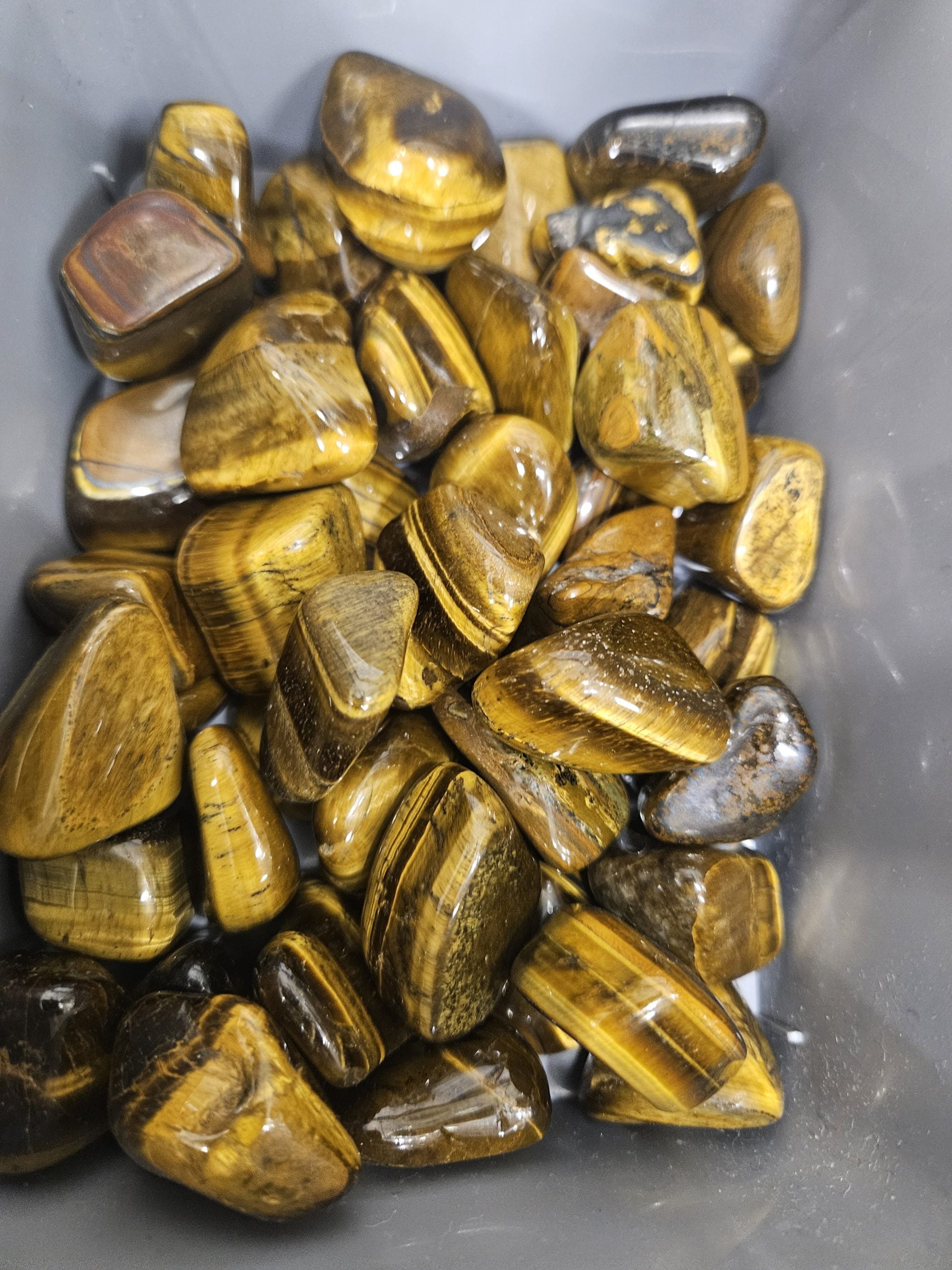 20231201_141033 20231201 141033 scaled