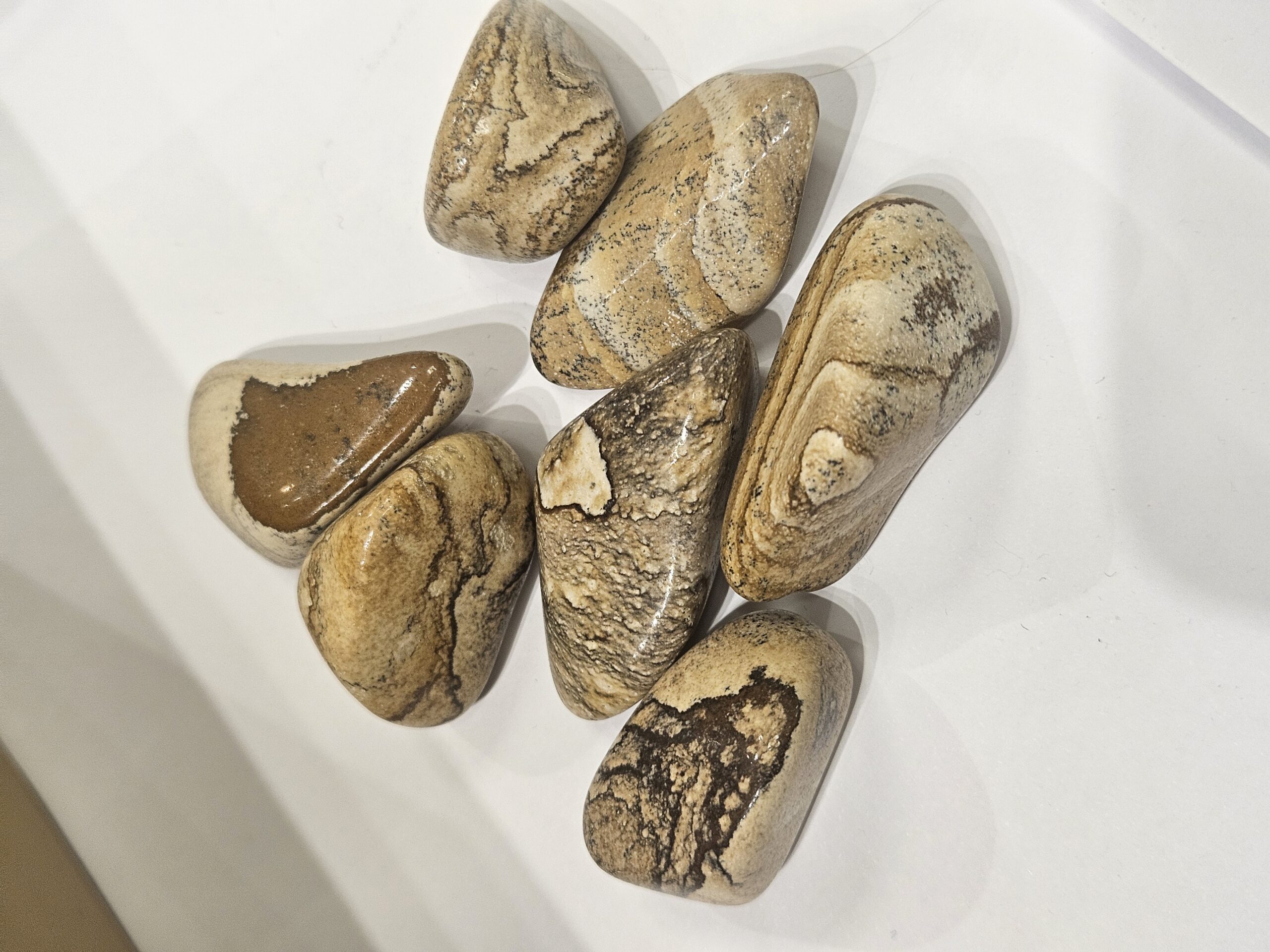 20260214 111256 scaled