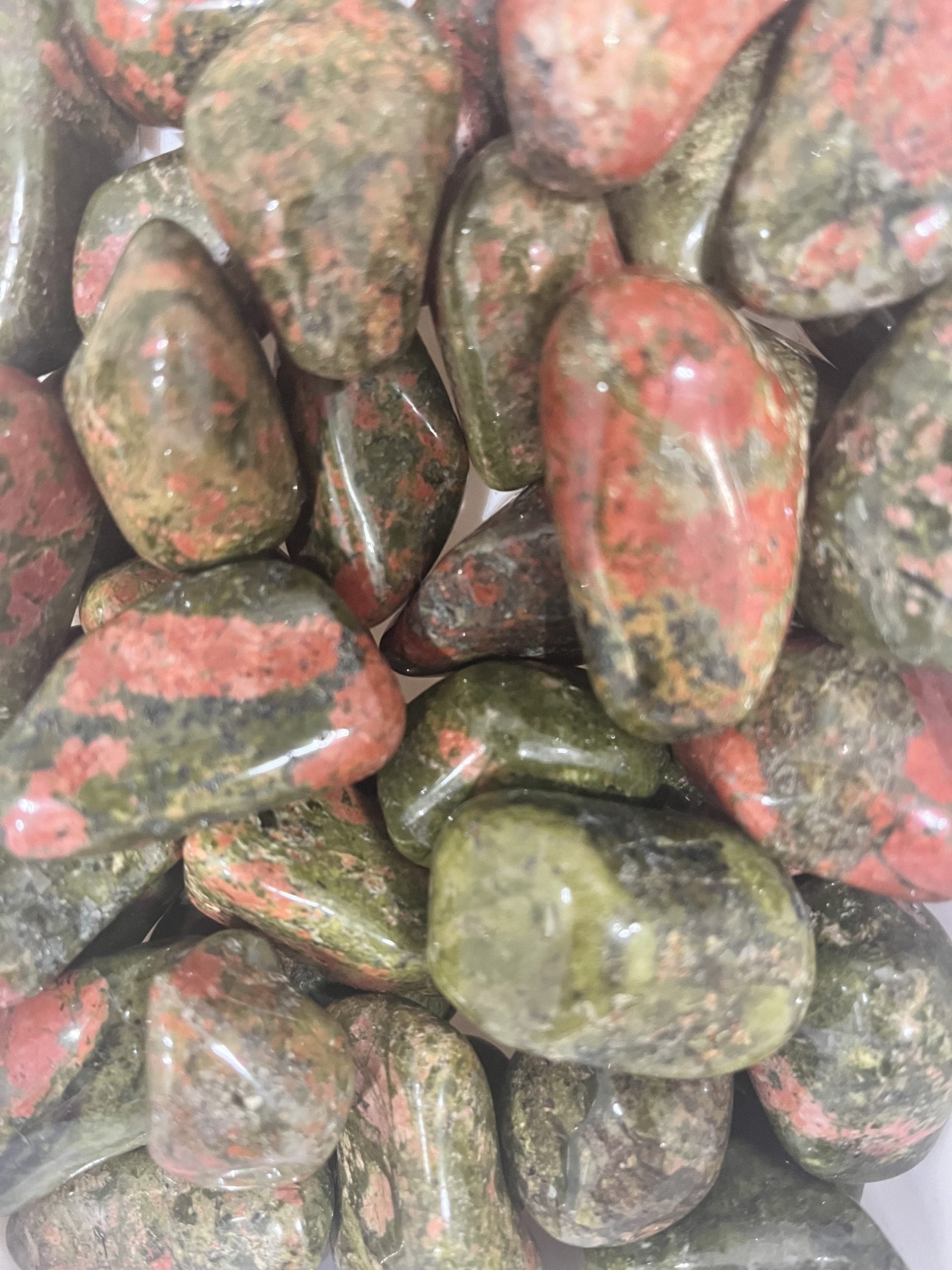 IMG_4219 IMG 4219 scaled