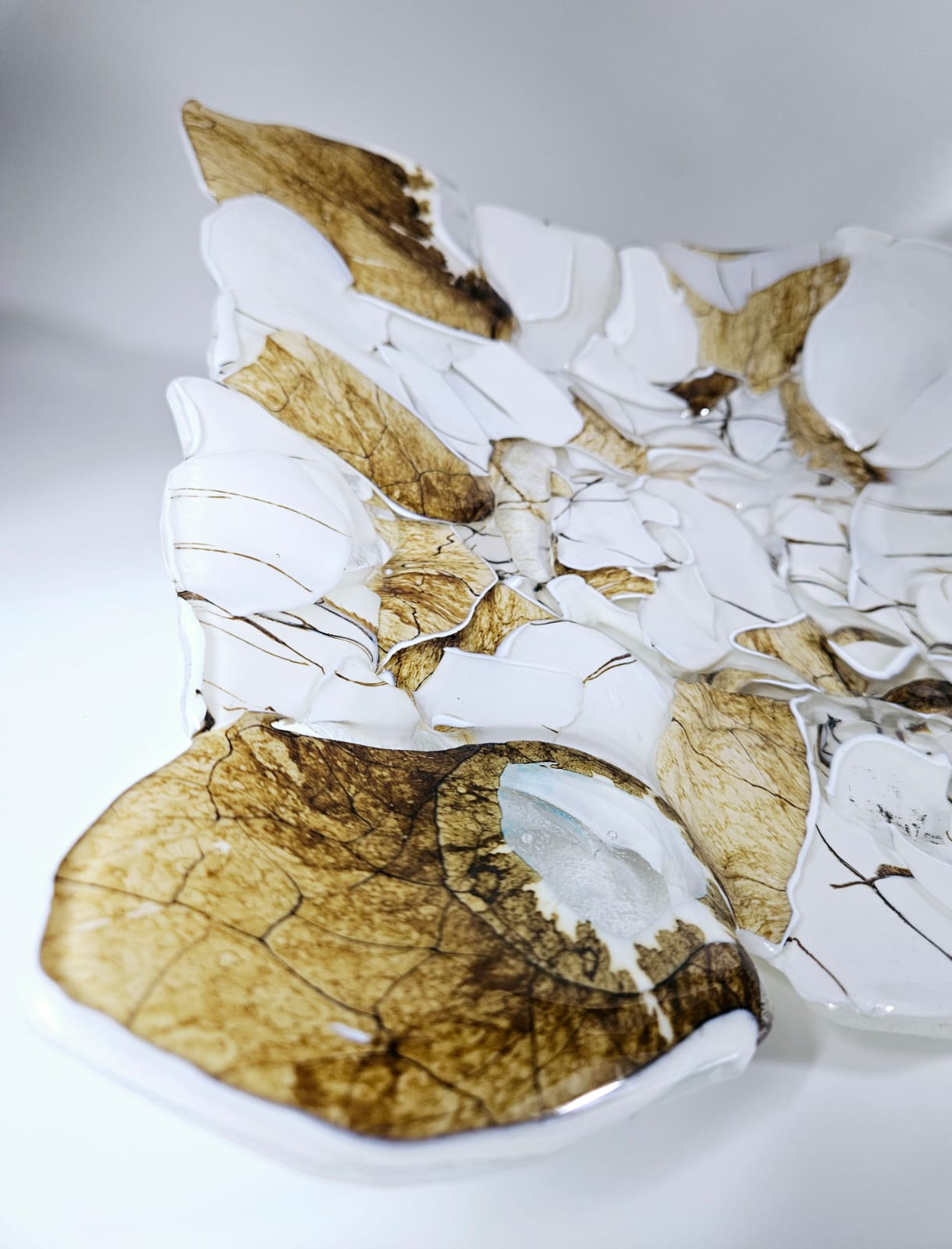 2825cced 6764 4f82 a165 db9dce732129