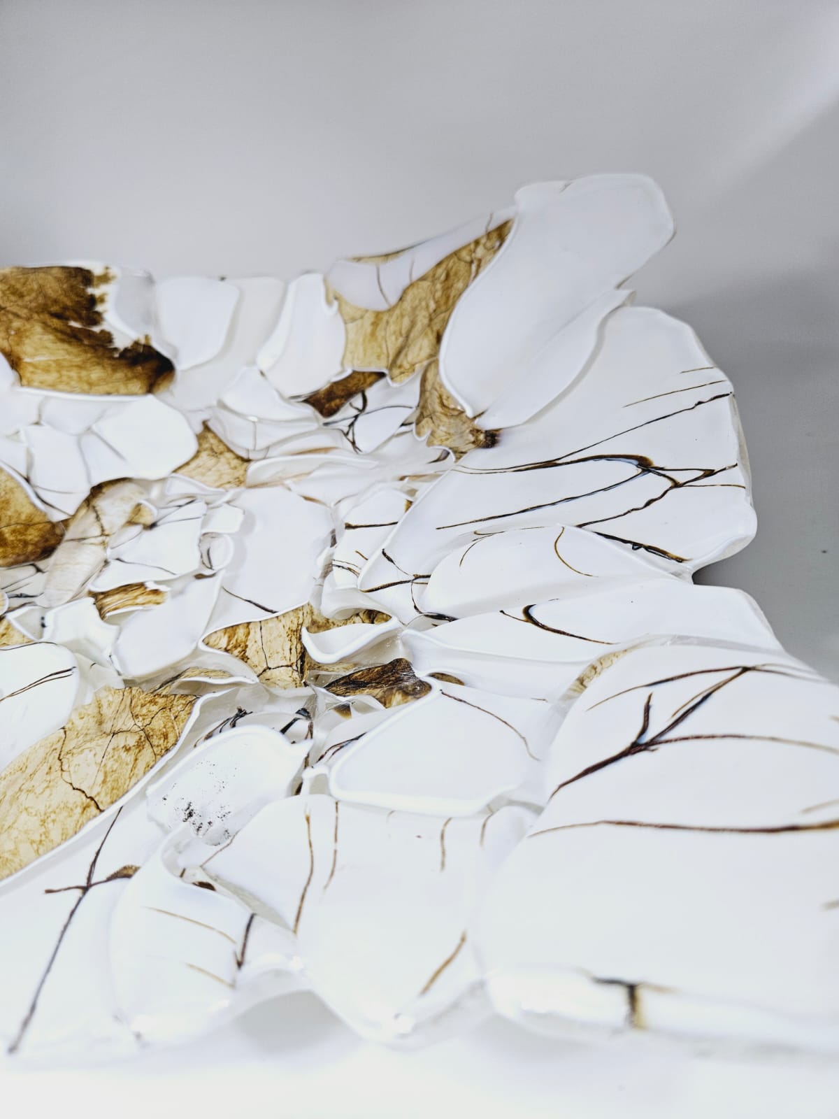 bead16ea c7d6 4d74 9719 a05e99a0b4c5