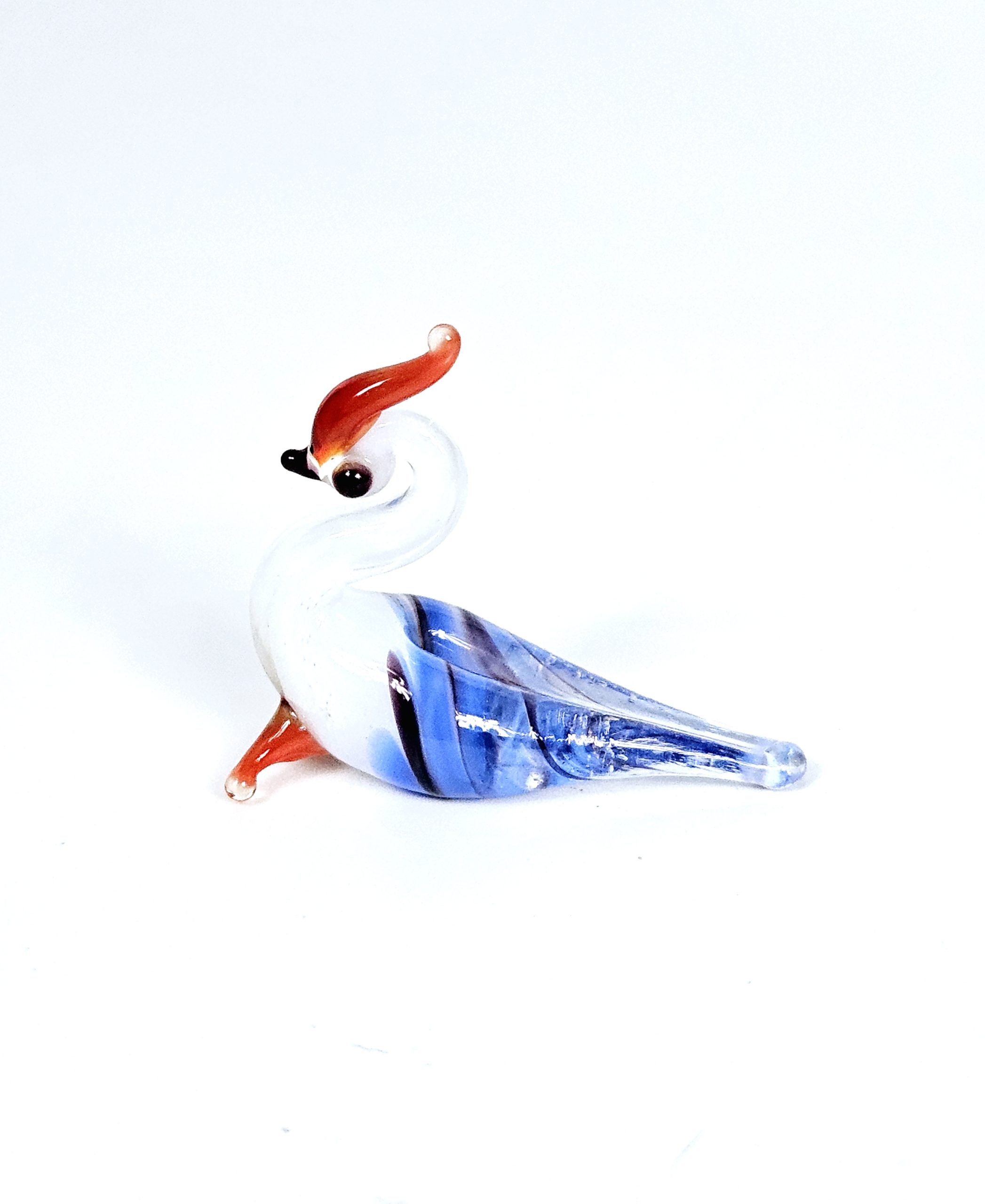 20241125 185019 1 scaled