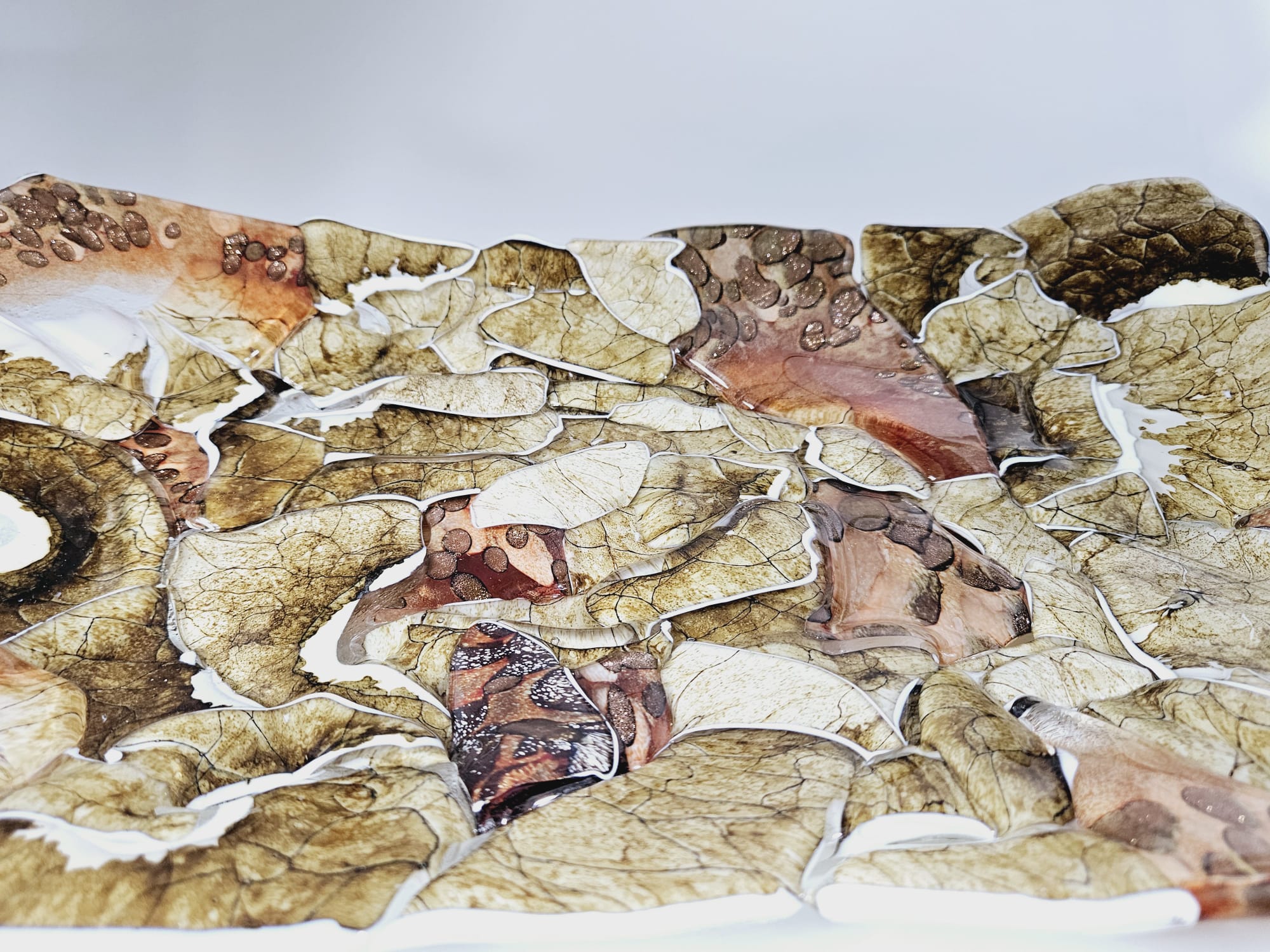 d3a1ab42 f10a 4f6c 821d 05a0dfb0a81f