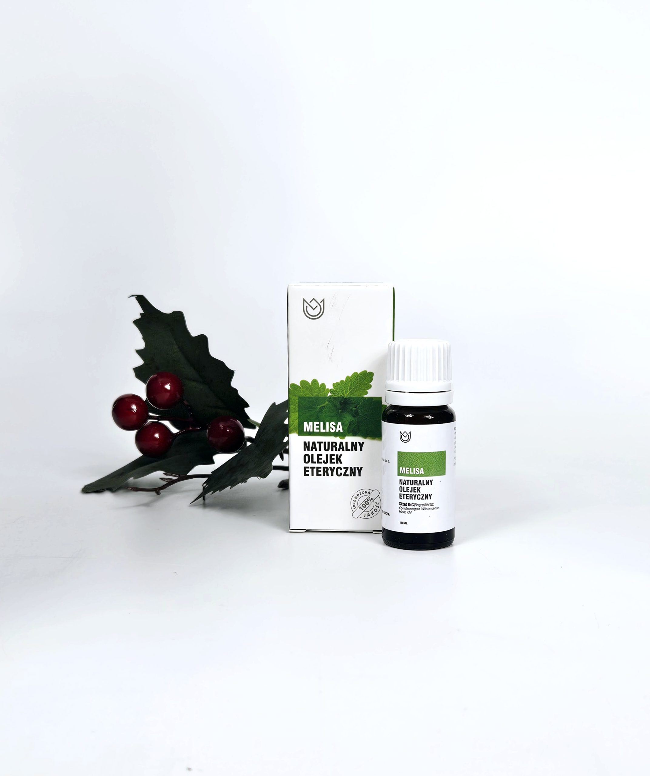 20241125_085725 20241125 085725 scaled