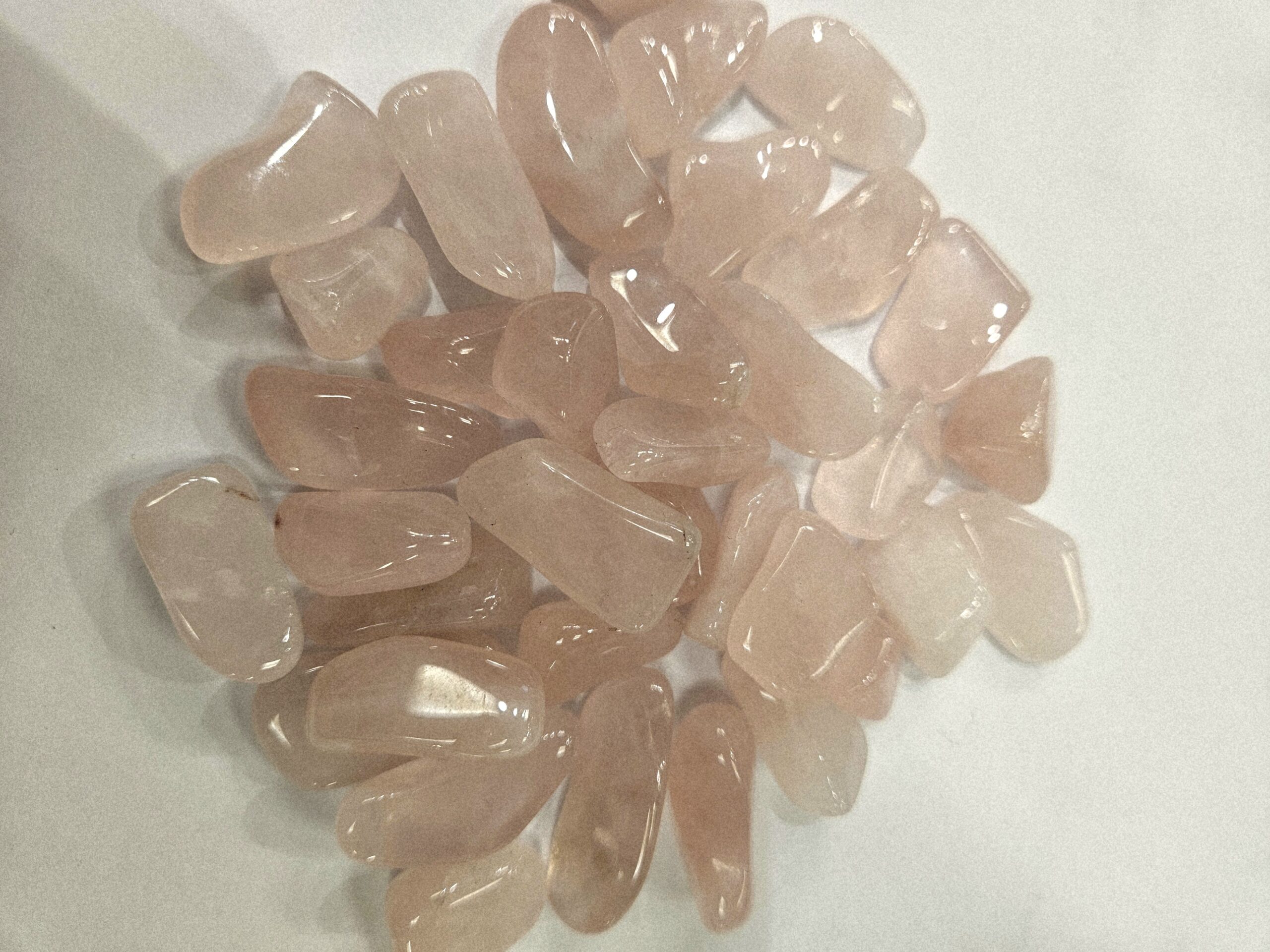 20260214_110935 20260214 110935 scaled