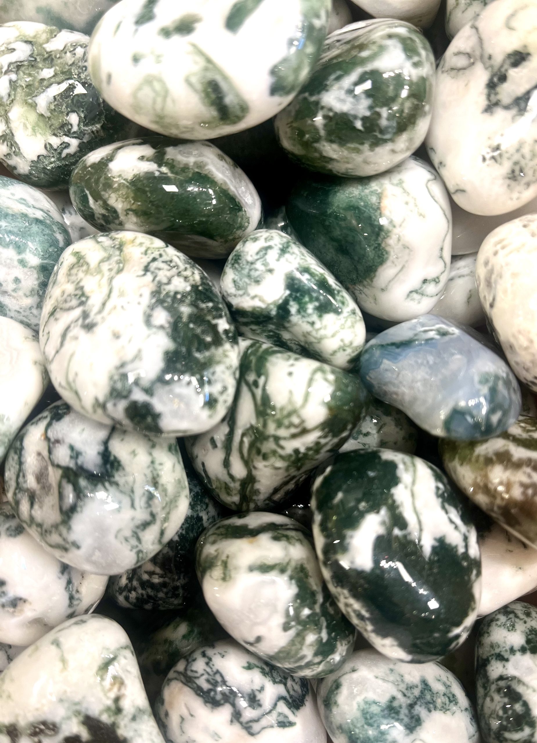 FAEB86CE-DE0C-4A20-81A6-4F1FB58FA9D2 FAEB86CE DE0C 4A20 81A6 4F1FB58FA9D2 scaled